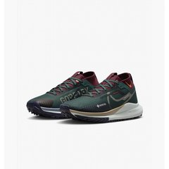 Кросівки чоловічі Nike Pegasus Trail 4 Gore-Tex (DJ7926-302), 41, WHS, 10% - 20%, 1-2 дні