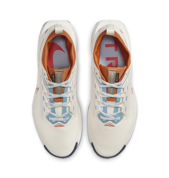 Кроссовки мужские Nike Pegasus Trail 5 Gtx (FQ0908-003), 42.5, WHS, 10% - 20%, 1-2 дня