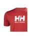 Фотография Футболка мужская Helly Hansen Heh Logo (33979-163) 3 из 3 в Ideal Sport
