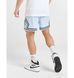 Фотография Шорты мужские Jordan Df Sprt Wvn Dmnd Light Blue (FQ2989-441) 5 из 7 в Ideal Sport