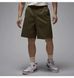 Фотографія Шорти чоловічі Jordan Ess Olive (HF9335-222) 2 з 8 в Ideal Sport