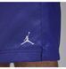 Фотографія Шорти чоловічі Jordan Poolside (HF9371-543) 7 з 8 в Ideal Sport