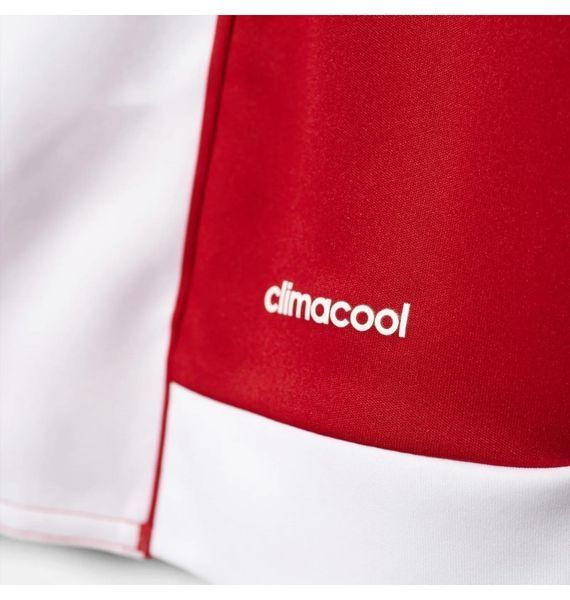 Футболка чоловіча Adidas Jersey Striped 15 Jsy White/Red (S16137), S, WHS, < 10%, 1-2 дні