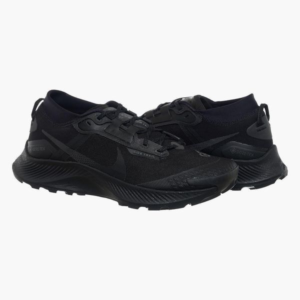 Кросівки для бігу чоловічі Nike Pegasus Trail 3 Gore-Tex (DC8793-001), 42, WHS, 30% - 40%, 1-2 дні