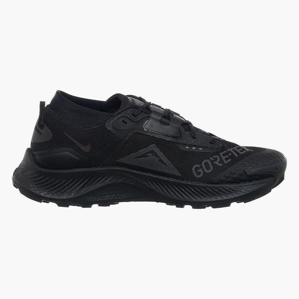 Кросівки для бігу чоловічі Nike Pegasus Trail 3 Gore-Tex (DC8793-001), 42, WHS, 30% - 40%, 1-2 дні