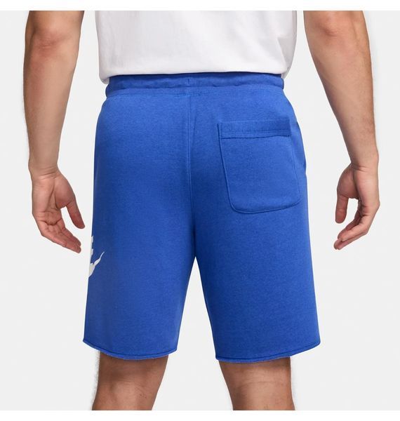 Шорти чоловічі Nike Club Alumni Hybrid French Terry Short (DX0502-480), L, WHS, 30% - 40%, 1-2 дні