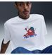 Фотографія Футболка чоловіча Nike Sb Strawberry (HV1302-100) 3 з 5 в Ideal Sport