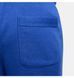 Фотографія Шорти чоловічі Nike Club Alumni Hybrid French Terry Short (DX0502-480) 6 з 7 в Ideal Sport