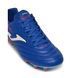 Фотографія Бутси чоловічі Joma Aguila (AGUS2504FG) 5 з 7 в Ideal Sport