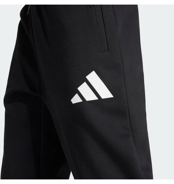 Брюки чоловічі Adidas Z.N.E. (JC9309), L, WHS, < 10%, 1-2 дні