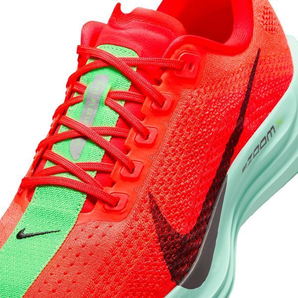 Кросівки чоловічі Nike Pegasus Plus (FQ7262-600), 39, WHS, 1-2 дні