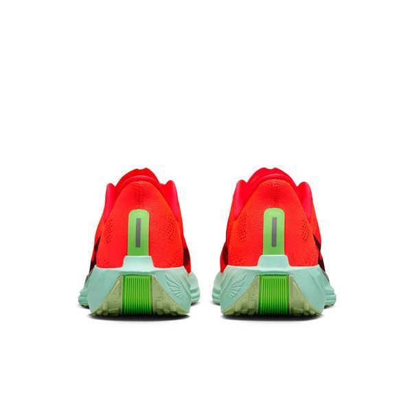 Кросівки чоловічі Nike Pegasus Plus (FQ7262-600), 39, WHS, 1-2 дні