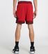 Фотография Шорты мужские Jordan Mesh Diamond Shorts (DH9075-687) 3 из 3 в Ideal Sport