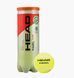 Фотографія Тенісний м'яч Head Padel Team 3B (575651) 1 з 3 в Ideal Sport