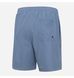 Фотография Шорты мужские Aqua Speed Dylan Grey (295-24) 2 из 2 в Ideal Sport