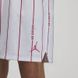 Фотографія Шорти чоловічі Jordan Essentials Printed Basketball Shorts (DM1357-100) 4 з 5 в Ideal Sport