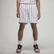 Фотографія Шорти чоловічі Jordan Essentials Printed Basketball Shorts (DM1357-100) 1 з 5 в Ideal Sport