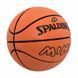 Фотографія Баскетбольний м'яч Spalding Spaldeens Mini (51337Z) 4 з 4 в Ideal Sport