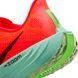 Фотографія Кросівки чоловічі Nike Pegasus Plus (FQ7262-600) 6 з 8 в Ideal Sport