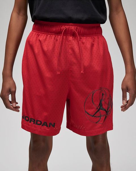 Шорты мужские Jordan Dri-Fit Sport Bc Mesh Shorts (DZ0569-687), L, WHS, > 50%, 1-2 дня