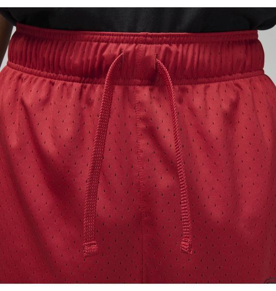 Шорты мужские Jordan Dri-Fit Sport Bc Mesh Shorts (DZ0569-687), S, WHS, 30% - 40%, 1-2 дня