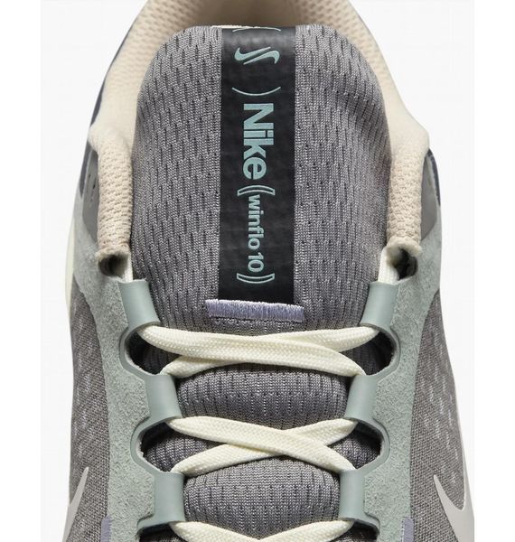 Кроссовки для бега мужские Nike Air Winflo 10 (FN7499-029), 42, WHS, 30% - 40%, 1-2 дня
