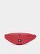 Фотографія Сумка на пояс Nike Sb Heritage Hip Bag (CK5884-610) 1 з 5 в Ideal Sport