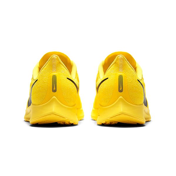 Кросівки чоловічі Nike Air Zoom Pegasus 36 Cody (CI1723-700), 41