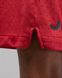 Фотография Шорты мужские Jordan Dri-Fit Sport Bc Mesh Shorts (DZ0569-687) 8 из 9 в Ideal Sport