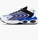 Фотографія Кросівки чоловічі Nike Air Max Tw (DQ3984-105) 1 з 6 в Ideal Sport