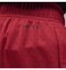 Фотография Шорты мужские Jordan Dri-Fit Sport Bc Mesh Shorts (DZ0569-687) 5 из 10 в Ideal Sport