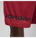 Фотография Шорты мужские Jordan Dri-Fit Sport Bc Mesh Shorts (DZ0569-687) 7 из 10 в Ideal Sport