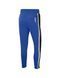 Фотография Брюки мужские Nike Sptcas Azul (BV5151-480) 2 из 2 в Ideal Sport