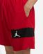 Фотография Шорты мужские Jordan Dri-Fit Air Men's Shorts (CZ4771-687) 2 из 2 в Ideal Sport