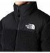 Фотография Куртка мужская The North Face Nuptse Sherpa 600 Down (NF0A5A84JK3) 7 из 9 в Ideal Sport