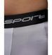Фотографія Шорти чоловічі Jordan Sport Dri-Fit Shorts White (FV8618-100) 3 з 6 в Ideal Sport
