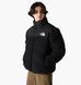 Фотография Куртка мужская The North Face Nuptse Sherpa 600 Down (NF0A5A84JK3) 1 из 9 в Ideal Sport