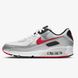 Фотографія Кросівки унісекс Nike Air Max 90 (DX4233-001) 1 з 5 в Ideal Sport