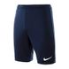 Фотографія Шорти чоловічі Nike Park Ii Knit Short Nb (725887-410) 1 з 3 в Ideal Sport